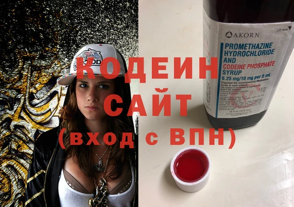 сатива Балахна