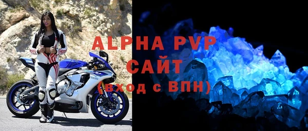 сатива Балахна
