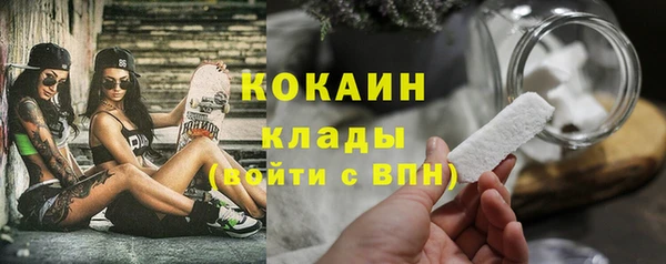 сатива Балахна