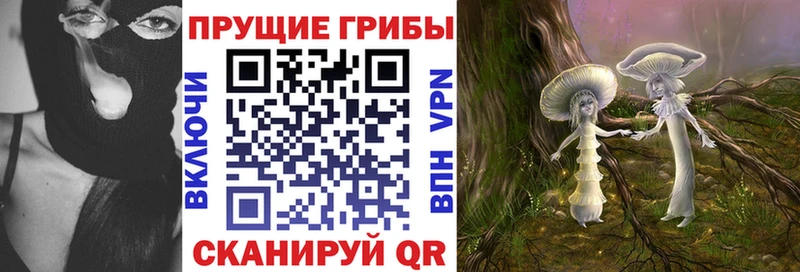 Галлюциногенные грибы мицелий  Североуральск 
